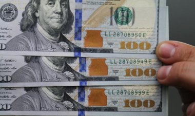 Dólar blue en San Juan se comercializa sobre los $875