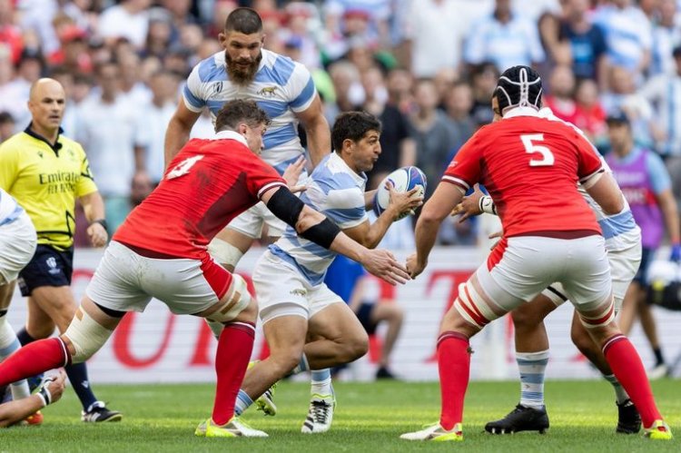 Los Pumas son semifinalistas del Mundial