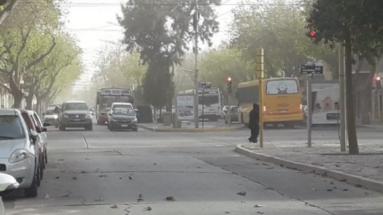 Viento Sur protagonista en la jornada