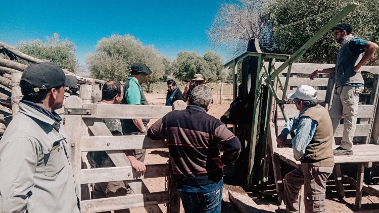 Cursos de "Mejora genética y Sanidad Reproductiva de los Rodeos Precuarios" en Iglesia
