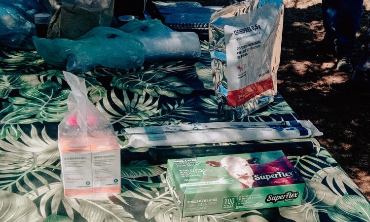 Cursos de "Mejora genética y Sanidad Reproductiva de los Rodeos Precuarios" en Iglesia