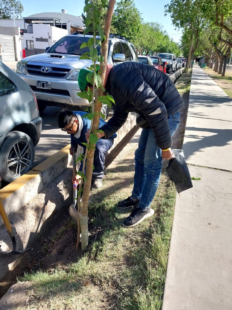 Capital suma especies arbóreas y un nuevo plan de gestión de residuos