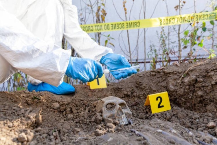 Cronograma para cubrir Interinatos y Suplencias en la Tecnicatura Superior en Criminalística