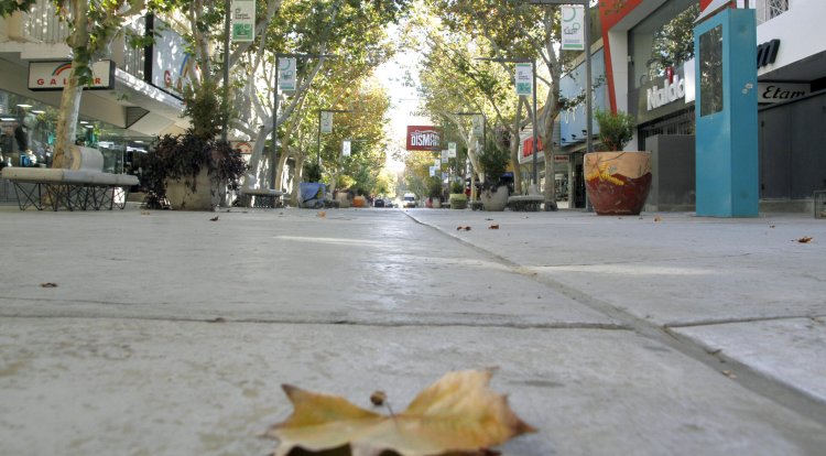 Cómo funcionarán los servicios en San Juan este lunes feriado