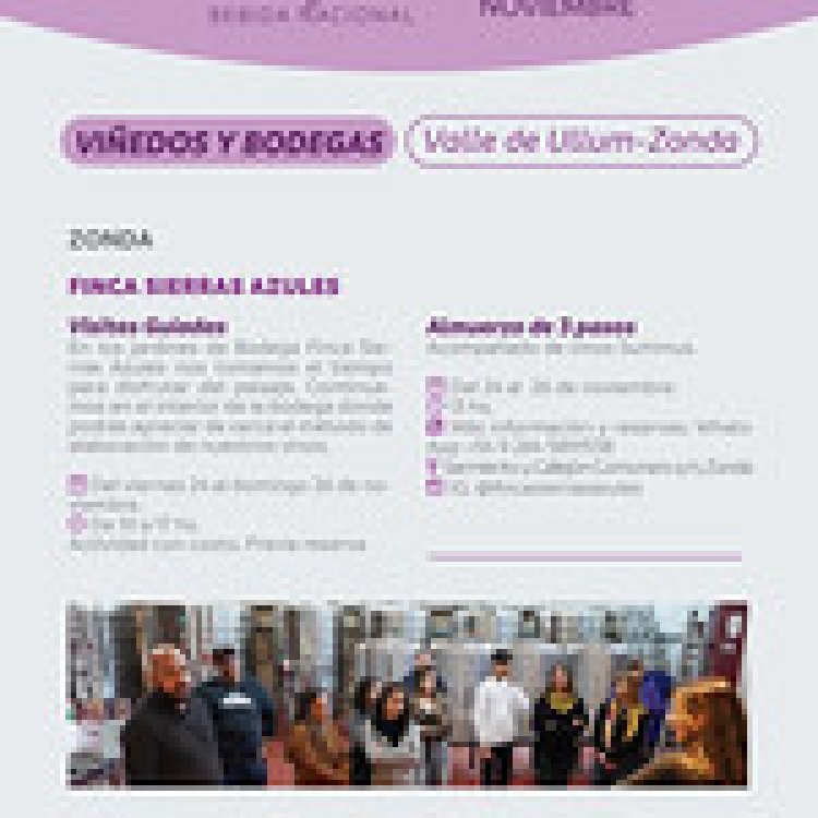 San Juan celebrará el Día del Vino Argentino con imperdibles actividades