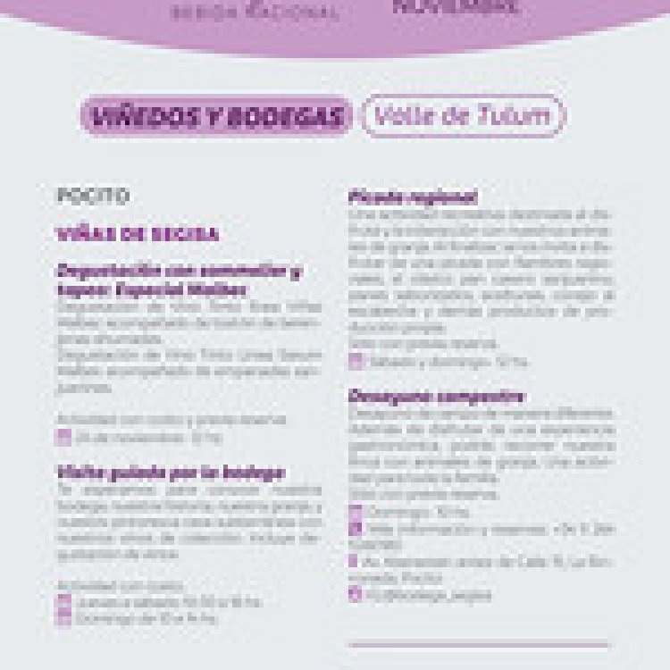 San Juan celebrará el Día del Vino Argentino con imperdibles actividades