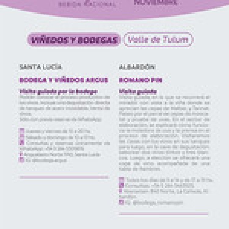 San Juan celebrará el Día del Vino Argentino con imperdibles actividades