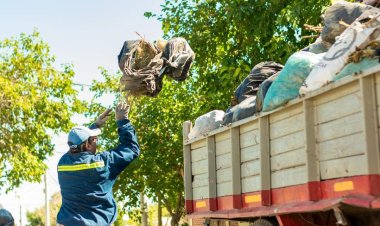 Rawson: durante la primer semana de trabajo, el municipio recolectó más de 700 toneladas de residuos