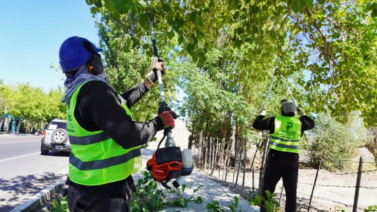 Los primeros 20 días de Fabian Aballay en Pocito