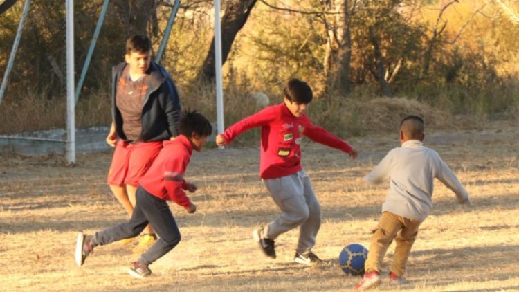 Conocé los programas de la Dirección de Deportes en la Comunidad