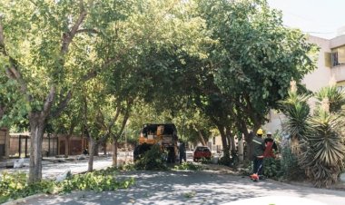 La limpieza integral de barrios y espacios verdes continúa en Rawson