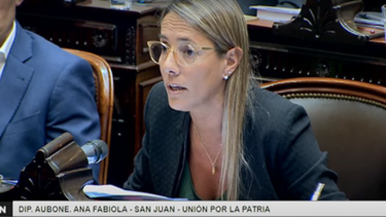 Ley Ómnibus: Aubone no acompañará el proyecto