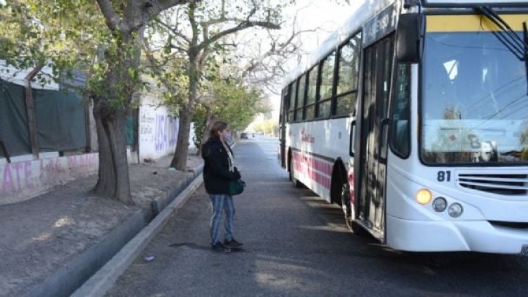 El jueves habrá Paro de colectivos