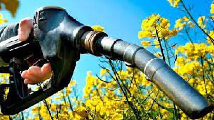 Cámara de biocombustibles apoyó la convocatoria al Pacto de Mayo