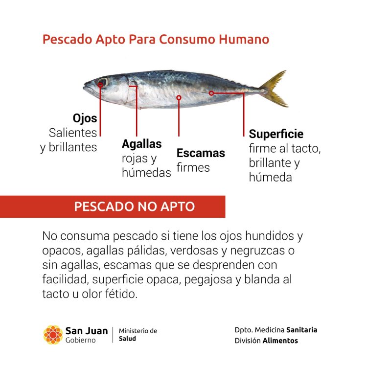 Por Semana Santa, Salud realizará un operativo de control de productos de la pesca