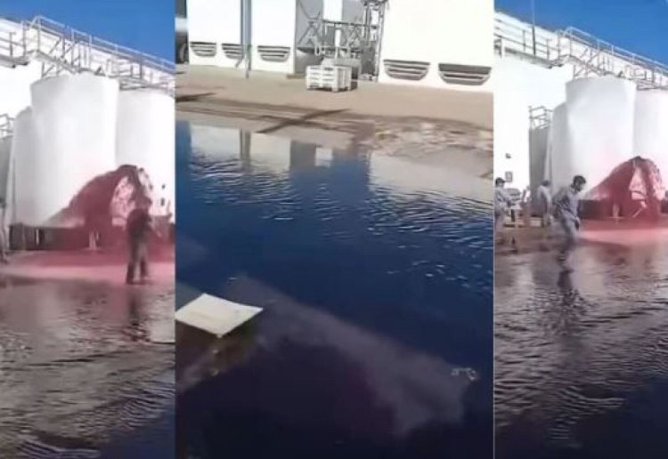 Mendoza: por un error en una bodega, se perdieron 15.000 litros de vino