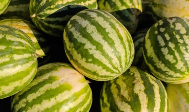 Feria y Mercado de Abasto: conoce los precios