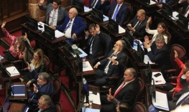 Qué pasa si la Ley Bases vuelve a Diputados