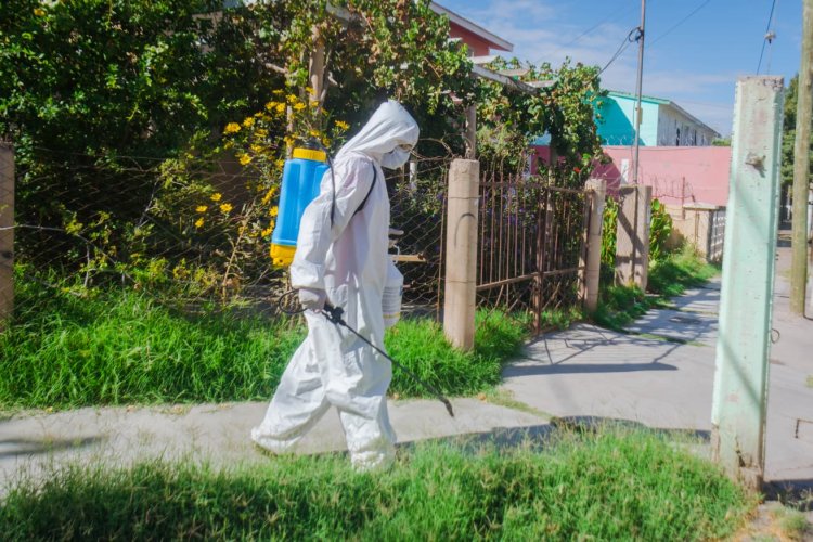 Caucete combate el Dengue con operativos de fumigacion