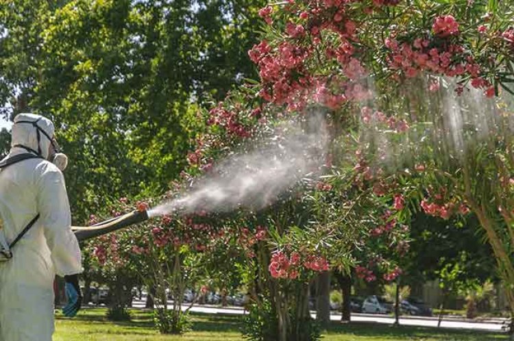 Desde el Malbrán advierten que "fumigar debería ser la última opción contra el dengue"