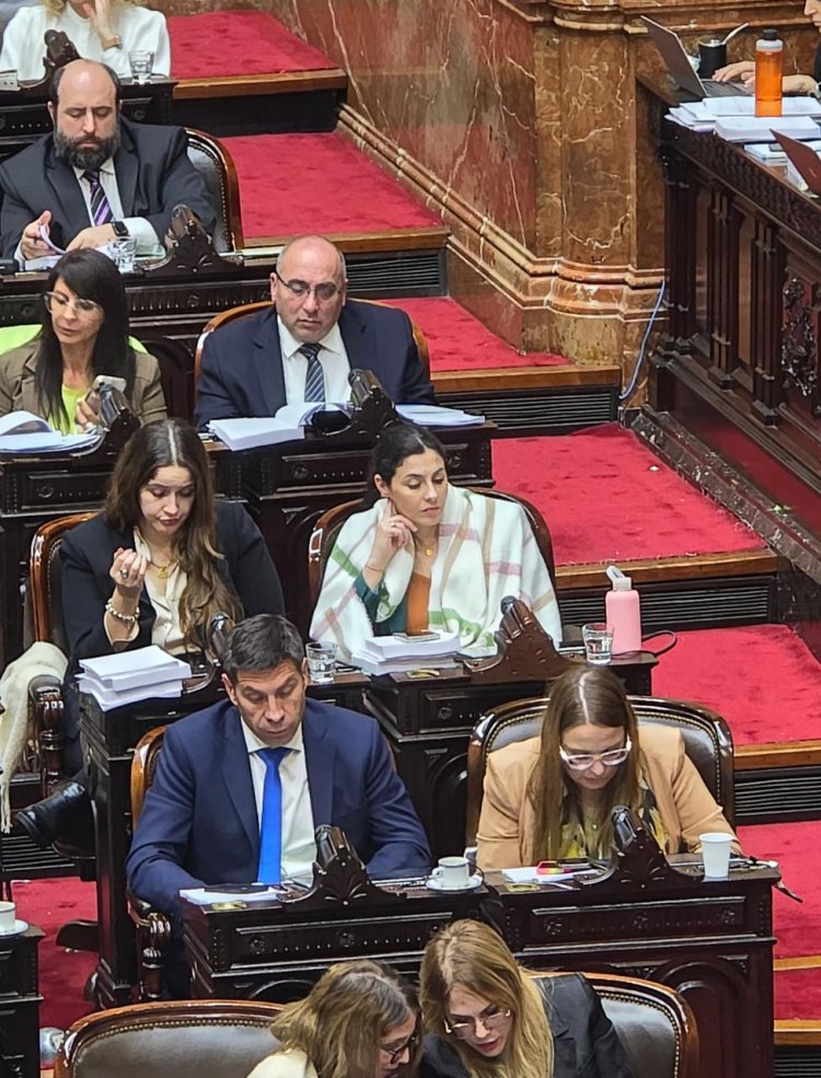 Peluc: "Este es un primer paso, pero este es el camino"