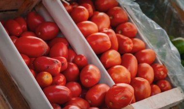 Pocito realiza la Feria Agroproductiva el sábado 11 de Mayo