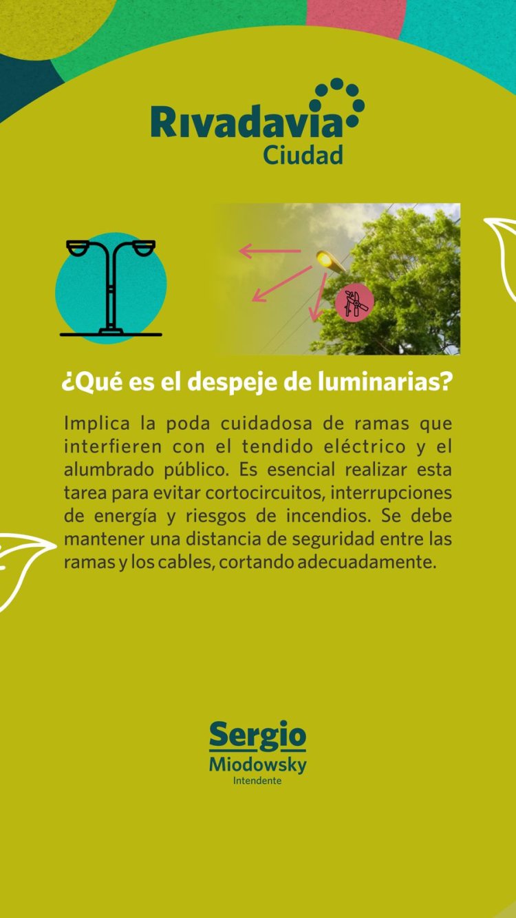 Rivadavia inicia su Operativo Integral de Arbolado 2024