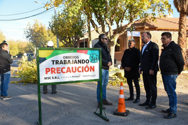Rivadavia comenzó el operativo integral de arbolado en tres importantes zonas