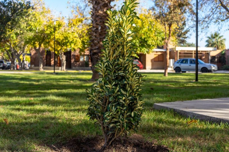 Rivadavia inauguró la Plaza María Auxiliadora