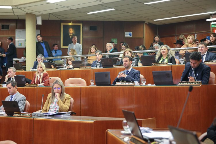 La Legislatura aprobó la Ley del Certificado Único de Discapacidad