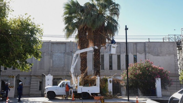 Comenzó la temporada de poda en espacios públicos