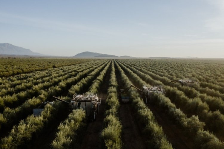 San Juan productiva se abre al mundo