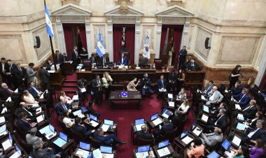 El Senado vuelve a activarse en agosto: uno por uno, los temas que moverán la agenda