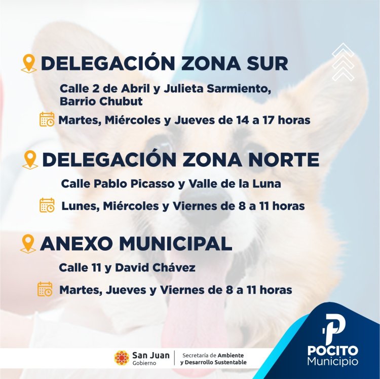 El Quirófano Móvil para Mascotas llega a Pocito