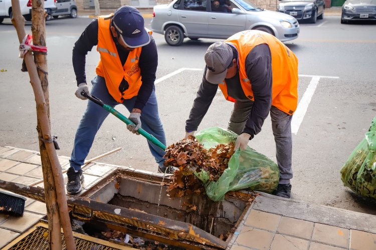Cronograma de limpieza integral y recolección en la Ciudad