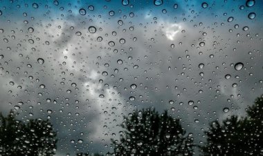 El temporal de Santa Rosa se hizo sentir