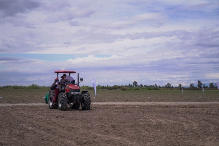 Expo Innova: en Octubre llega la feria frutihortícola más grande de Cuyo