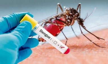 Descubren mutaciones que hacen más fuerte al Dengue