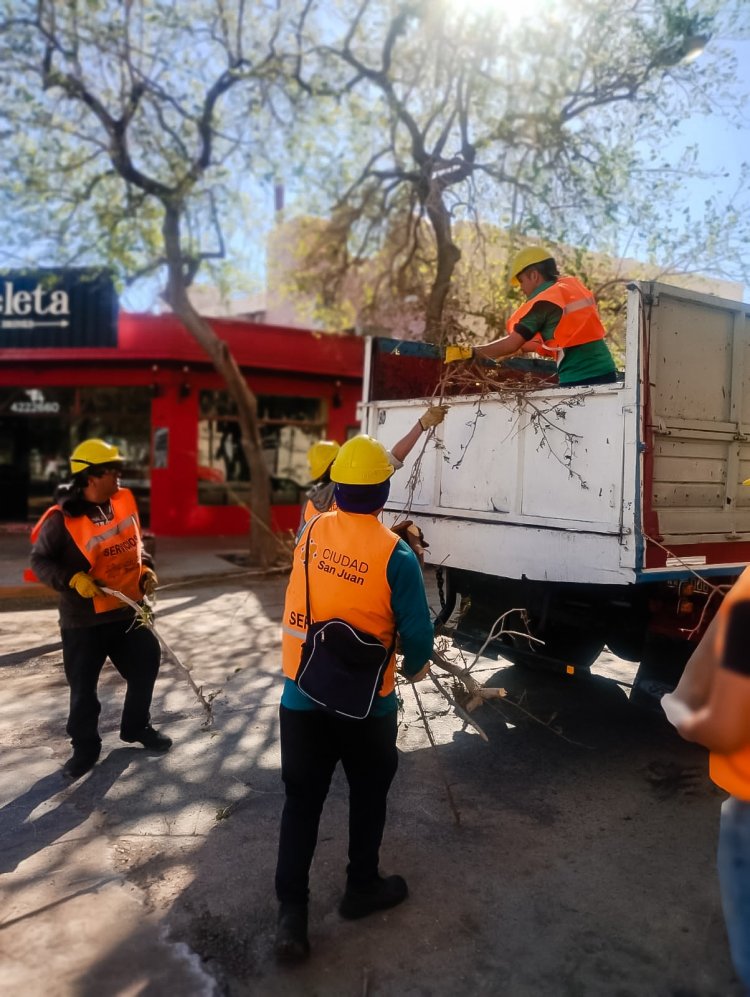 Luego del Zonda, Capital trabaja para poner en orden todos los espacios