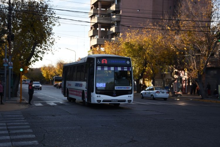 Comienzan a notificar a los beneficiarios del boleto escolar gratuito