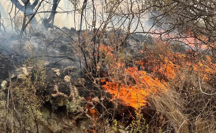 Así se ve el avance del incendio en Capilla del Monte