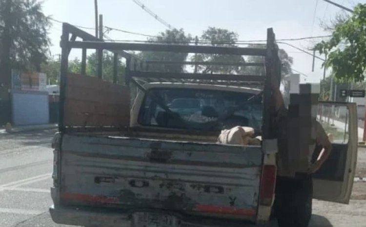 Cayeron con carne de caballo recién faenada