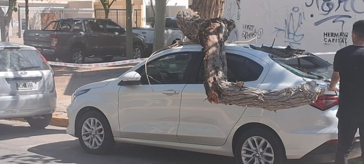 Las intensas ráfagas de viento provocan destrozos en San Juan