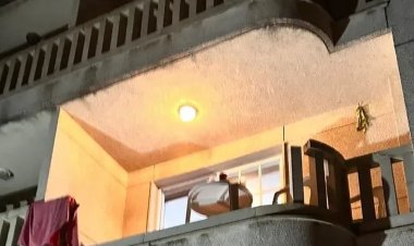 Cuales son los famosos que murieron al caer de un balcón