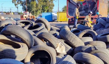 La Ciudad recolecta más de 20,000 kilos de Neumáticos promoviendo la Economía Circular y preveniendo el Dengue