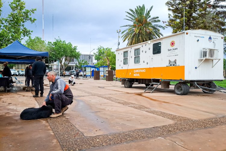 Realizan esterilizaciones a las mascotas en la Plaza De La Libertad en Pocito