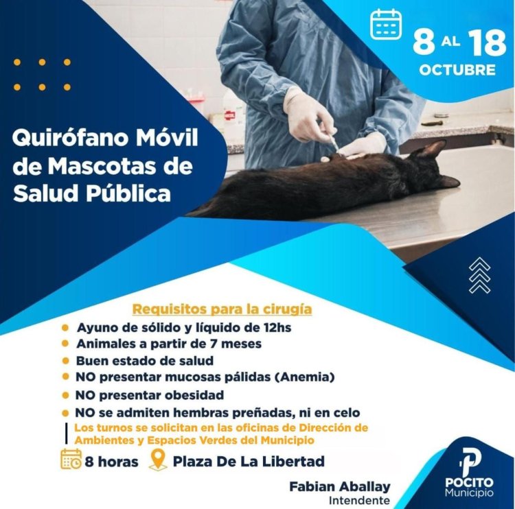 Realizan esterilizaciones a las mascotas en la Plaza De La Libertad en Pocito