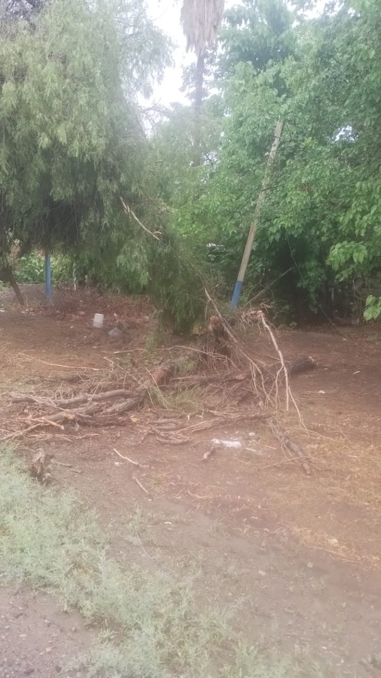 9 de Julio debió asistir por las lluvias a varias familias