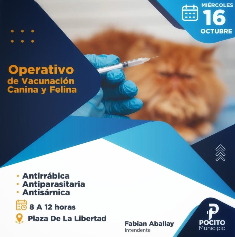 Pocito realizará Operativo de Vacunación Canina y Felina