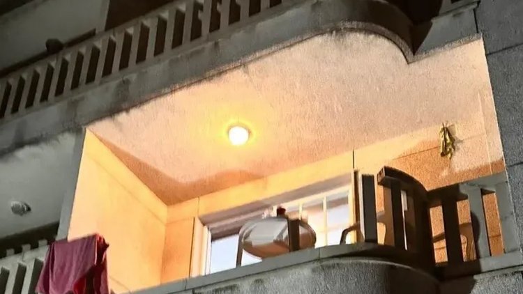 Cuales son los famosos que murieron al caer de un balcón